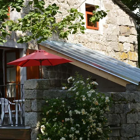 Maison En Granit Renovee Avec Terrain Et Terrasse, Proche Tence, Ideale Pour Famille Et Activites Outdoors - Fr-1-582-134